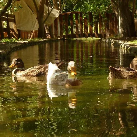 Mitos Olympos